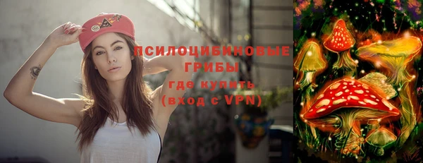 тгк Долгопрудный