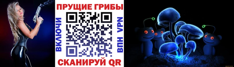 Псилоцибиновые грибы Magic Shrooms  Купить где  Бабушкин 